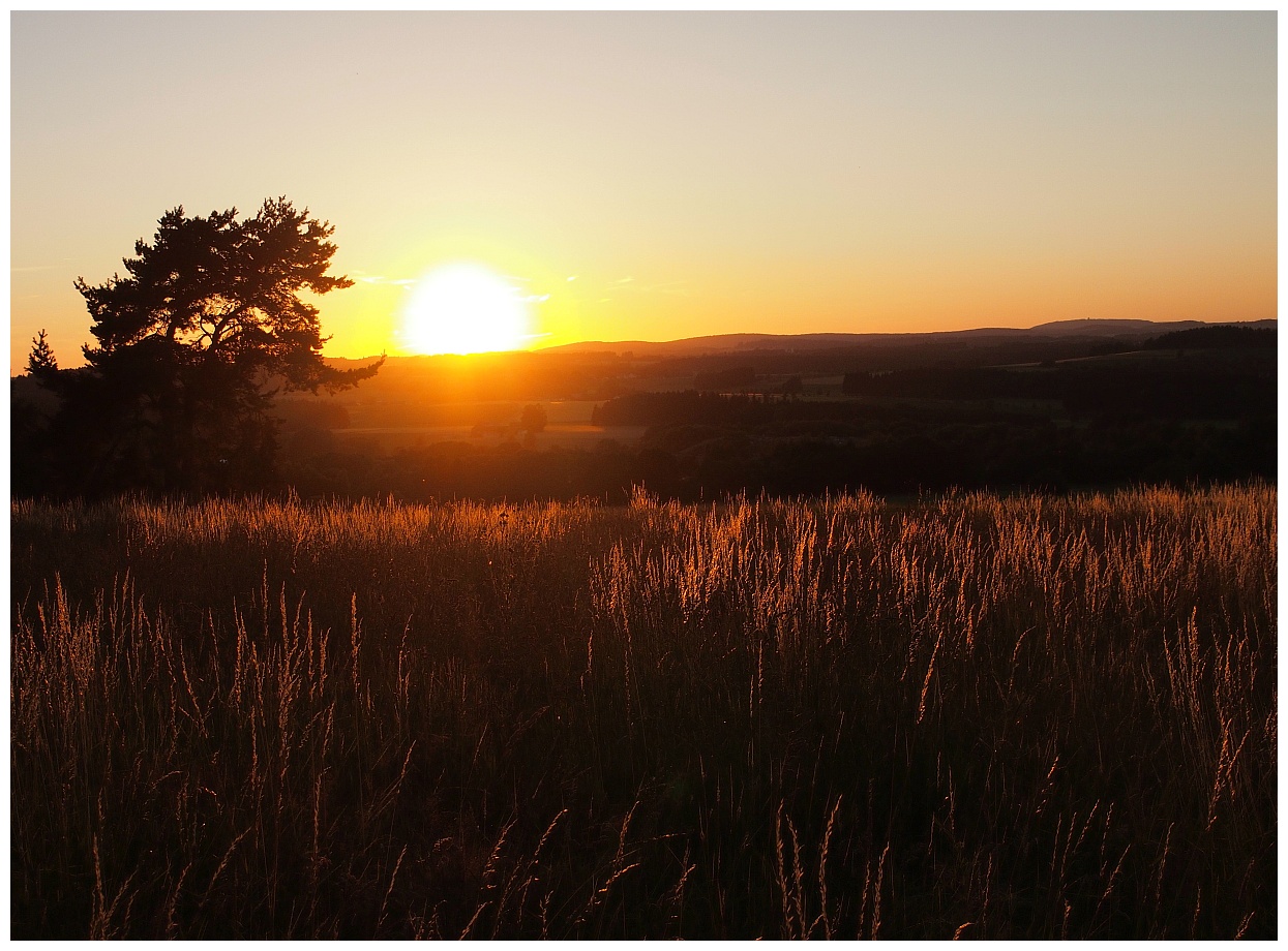 Sommerabend