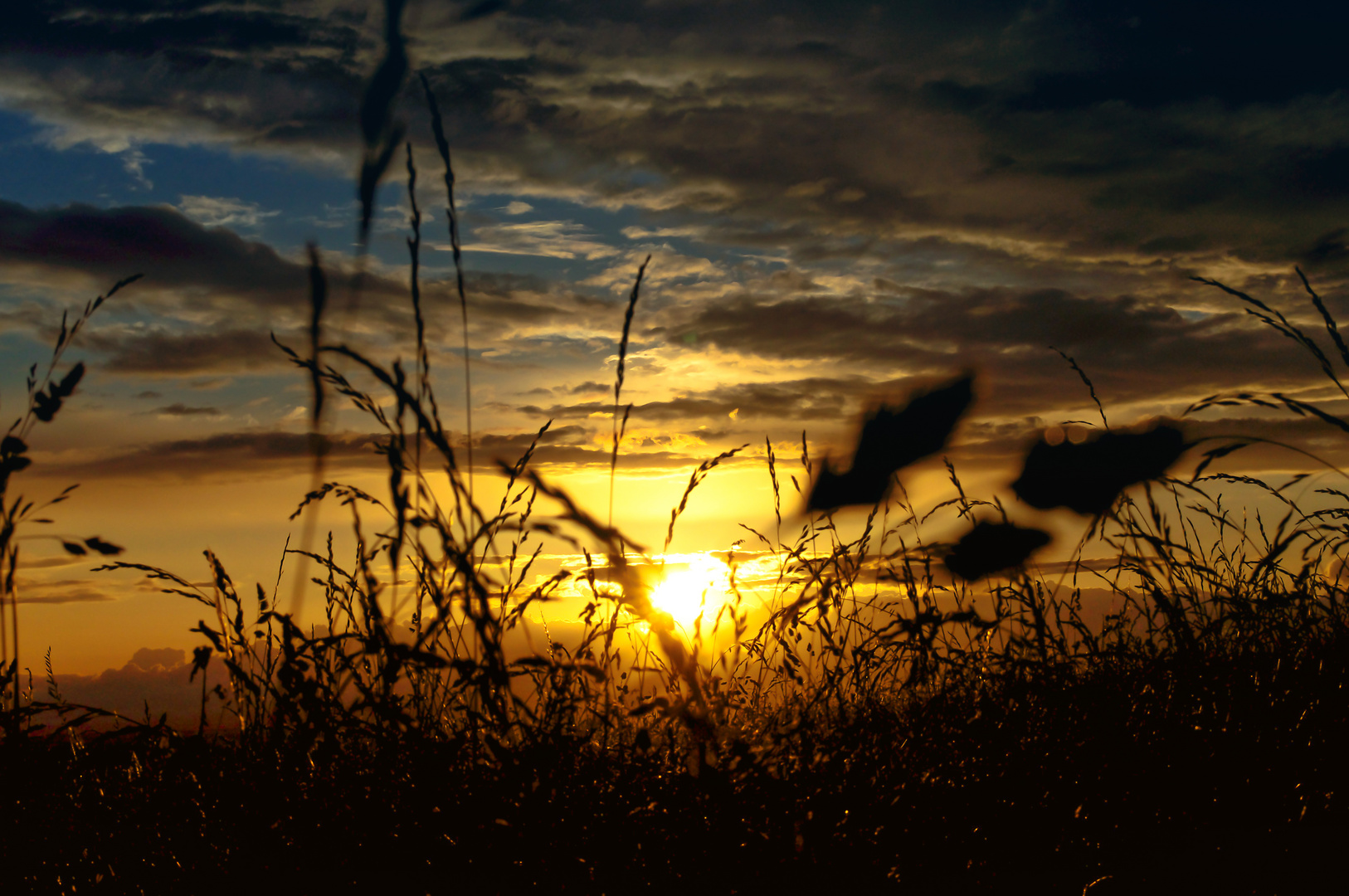 - Sommerabend -