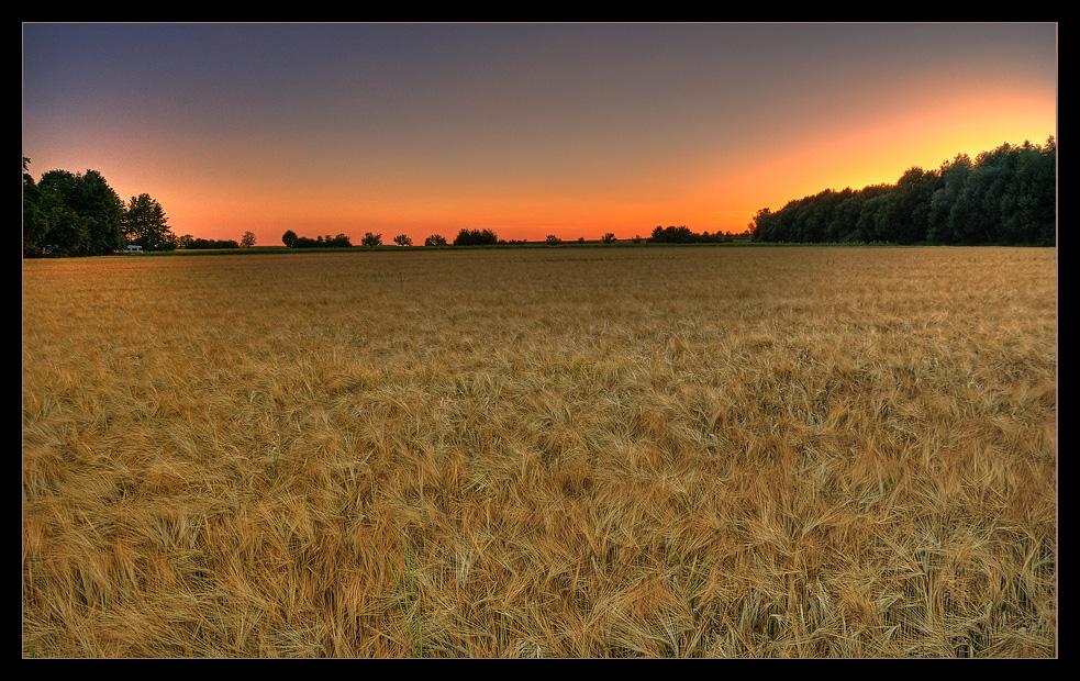 Sommerabend