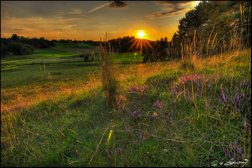 Sommerabend