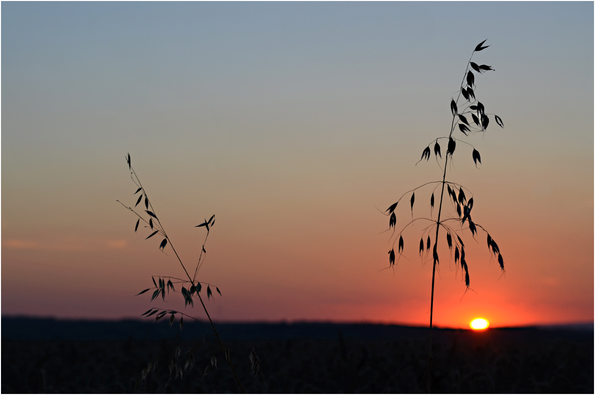 Sommerabend