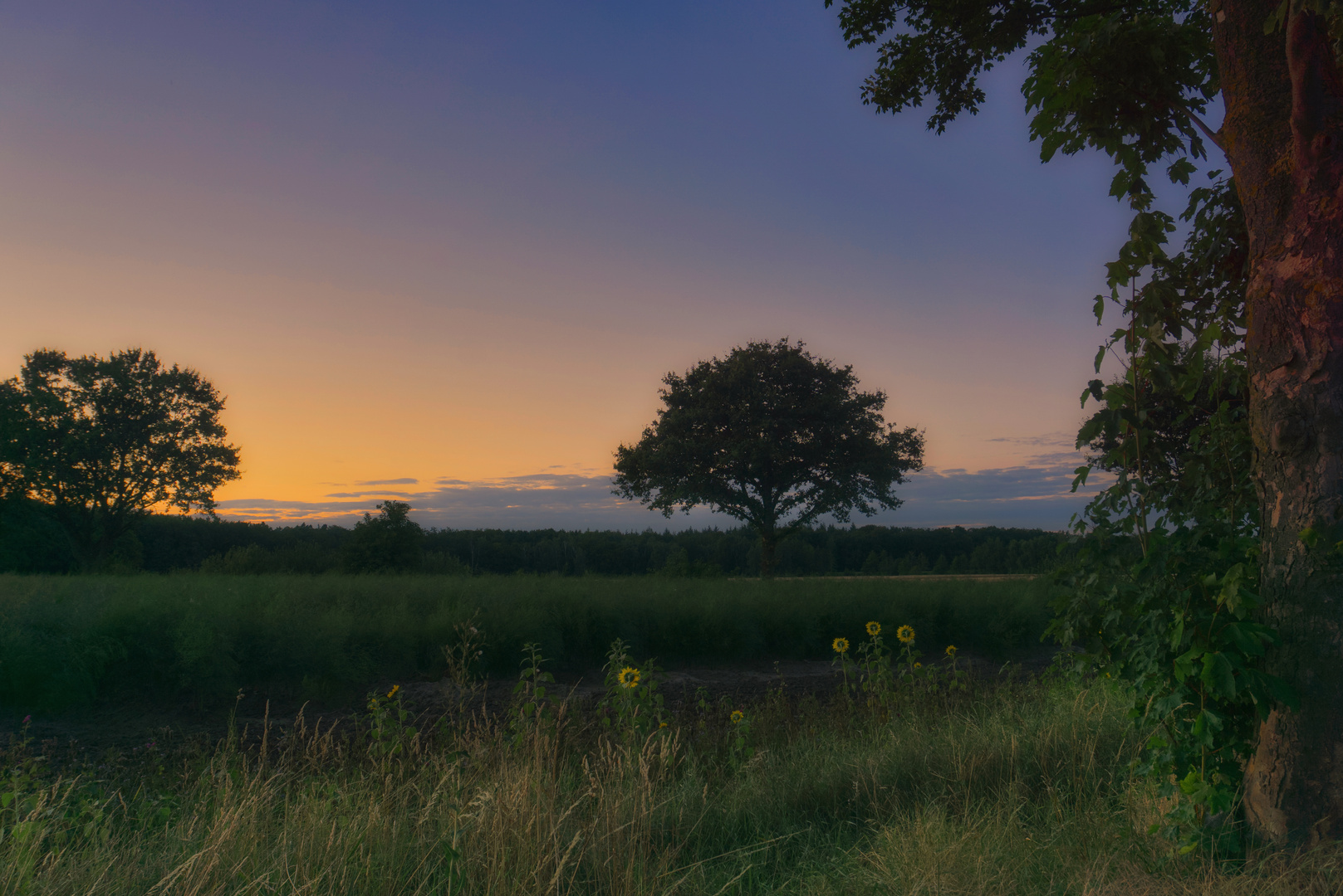 Sommerabend