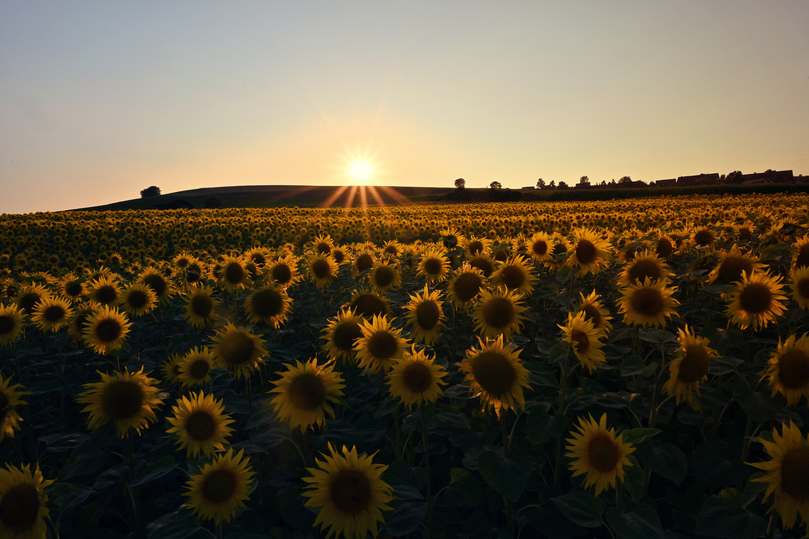 Sommerabend