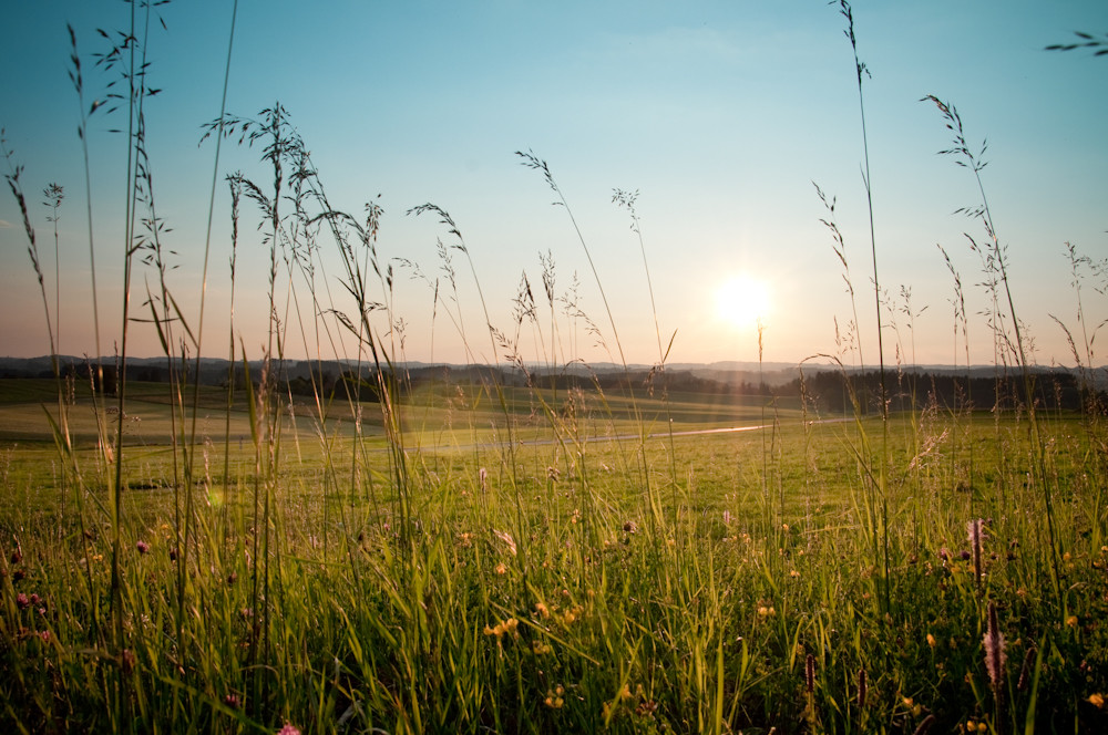 Sommerabend