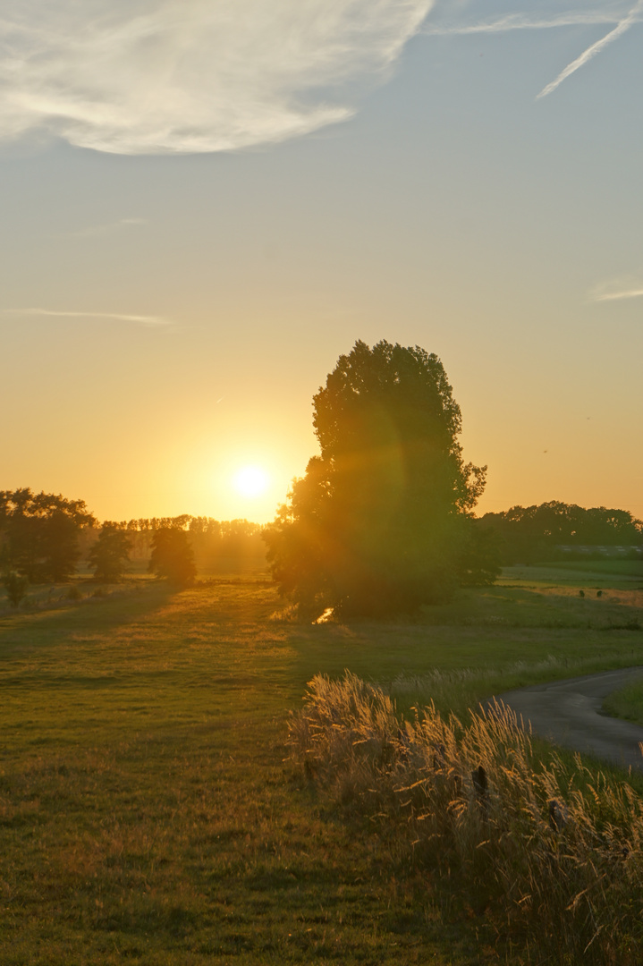 Sommerabend