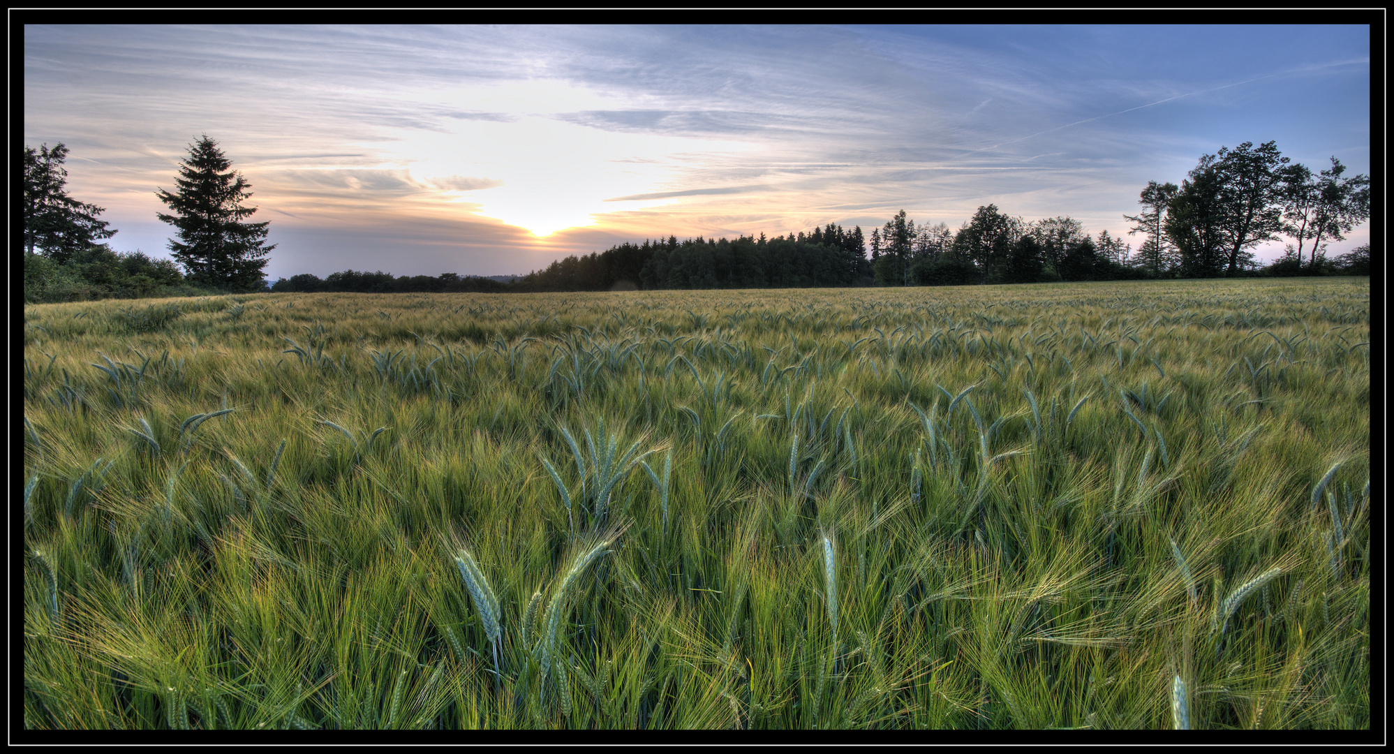 Sommerabend ...