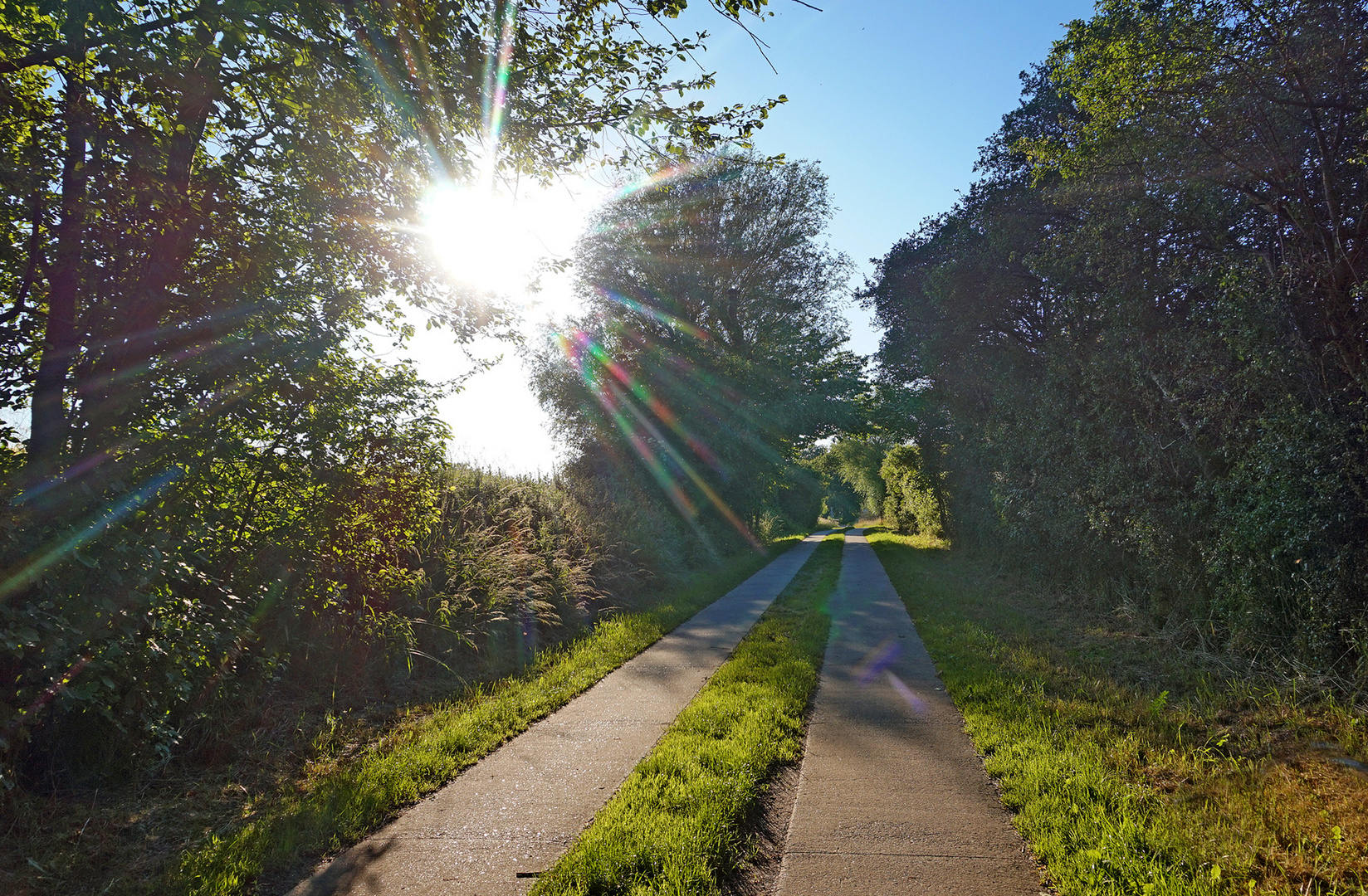 Sommerabend