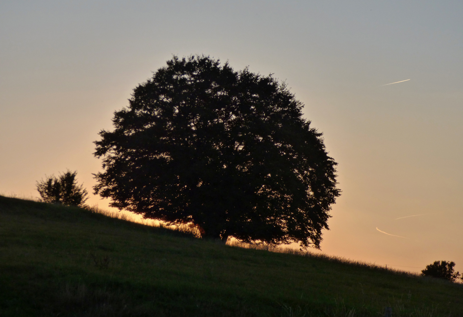 Sommerabend