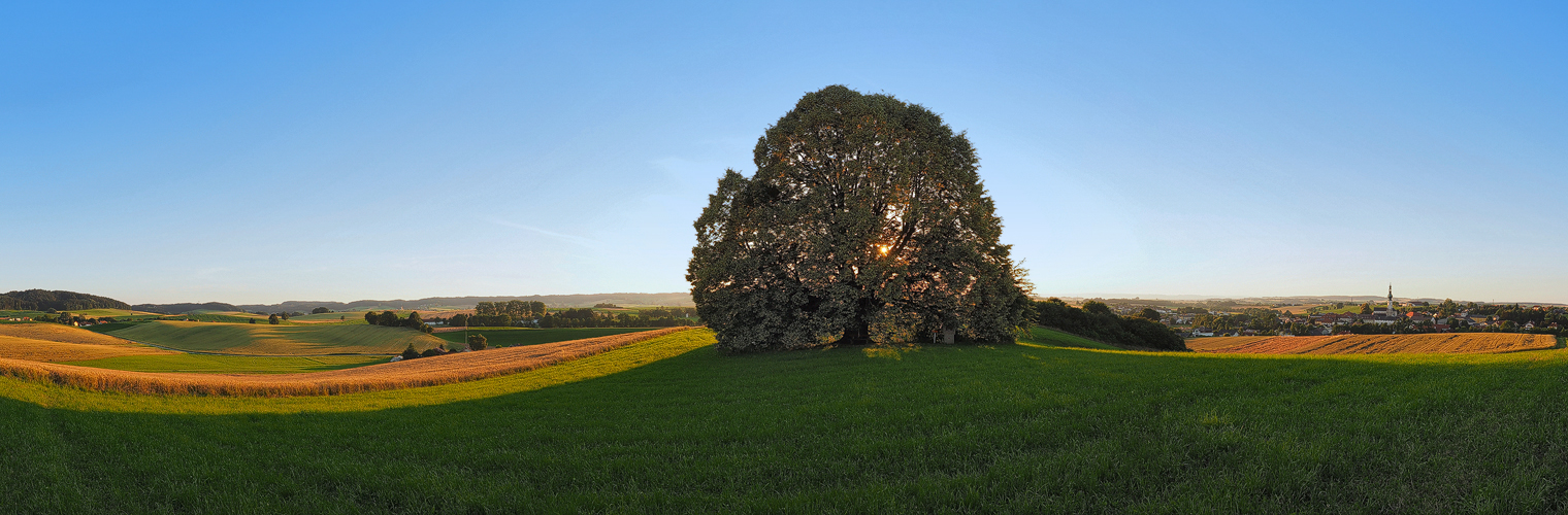 ...Sommerabend...