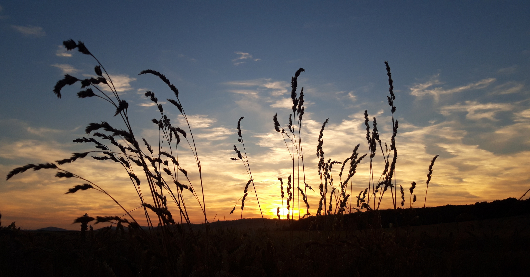 Sommerabend