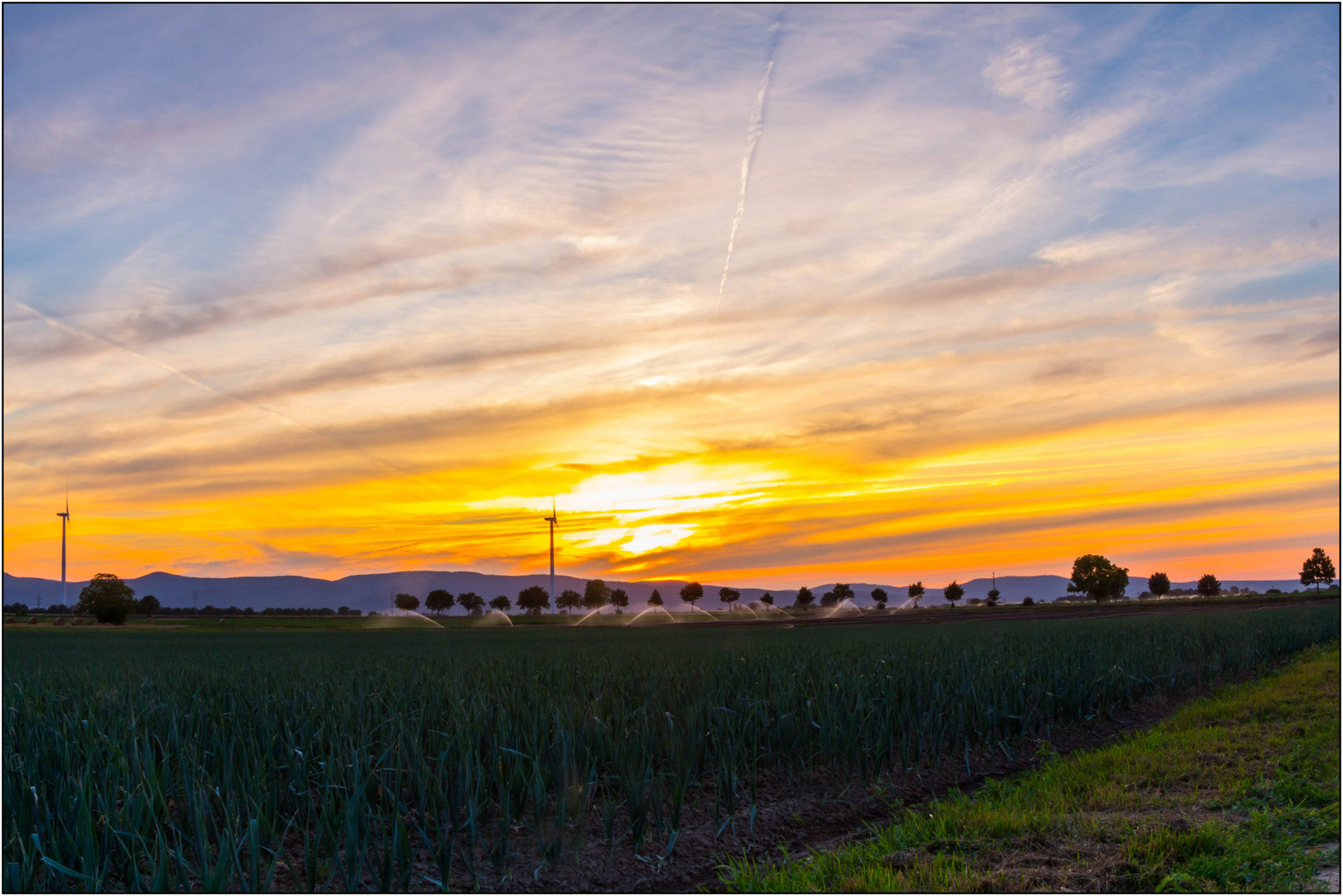 Sommerabend