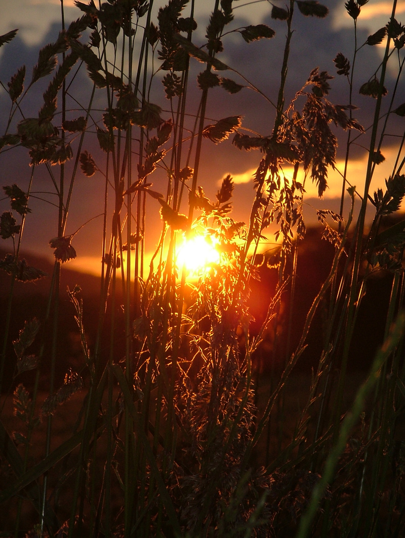 Sommerabend...