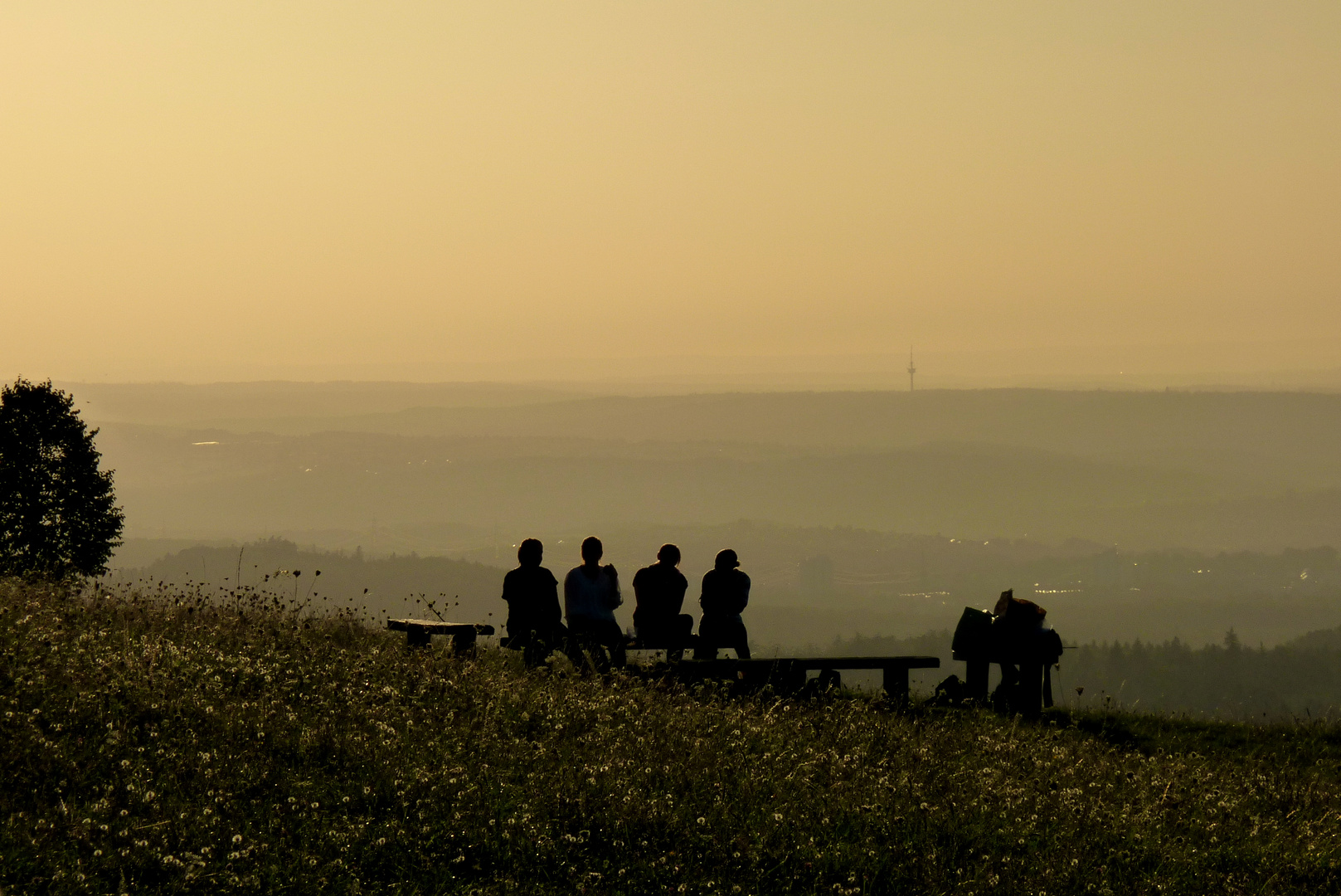 Sommerabend