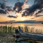 Sommerabend am Ammersee