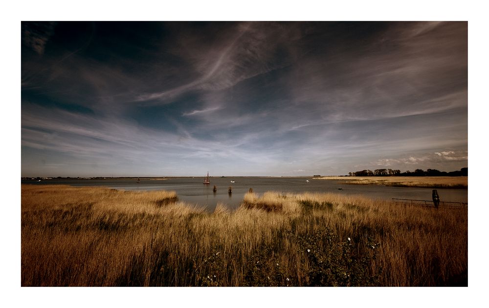 Sommerabend am Bodden