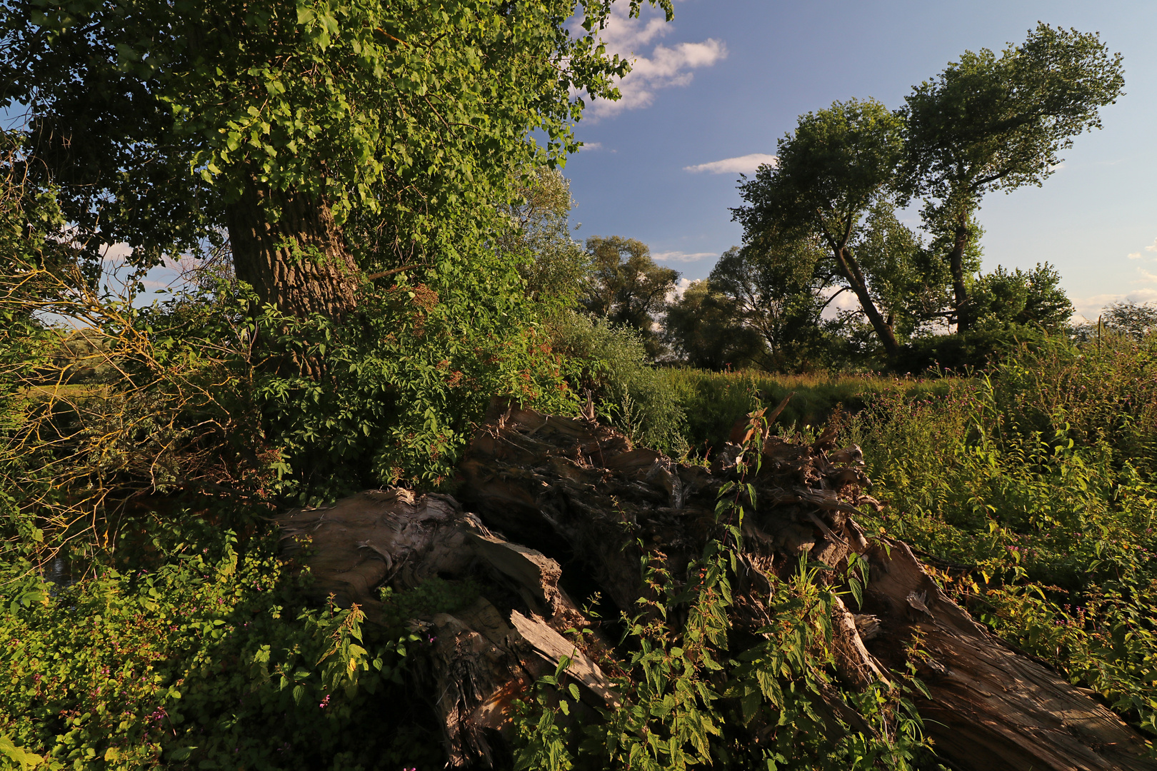 Sommerabend am Fluss