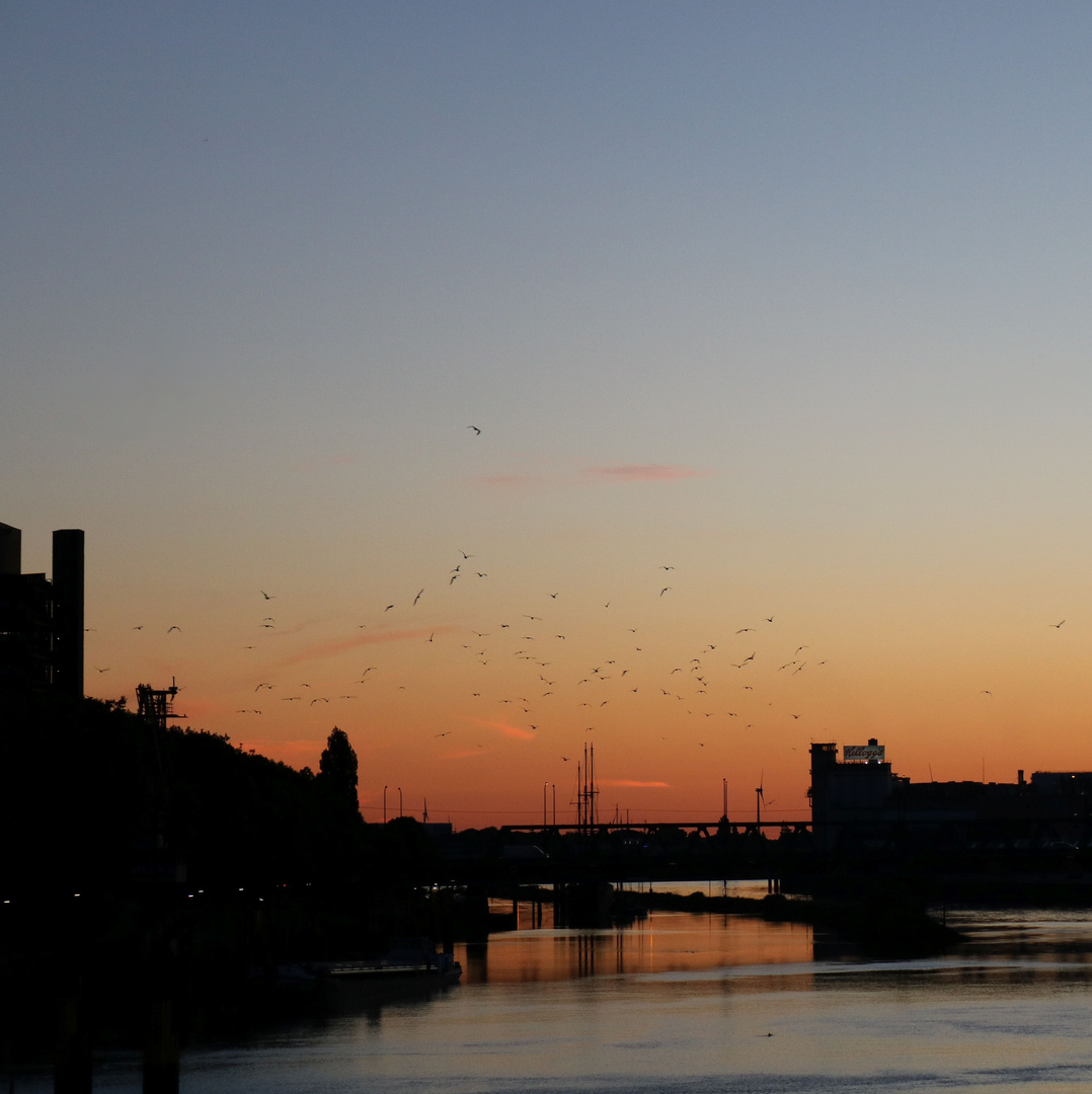 Sommerabend am Fluß