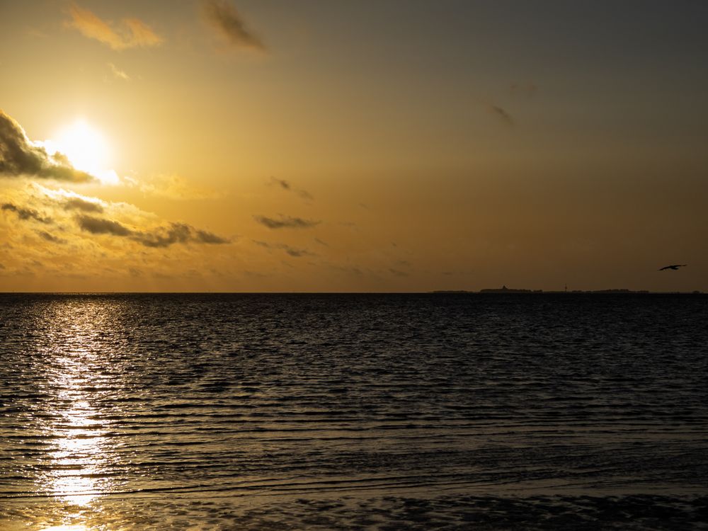 Sommerabend am Meer