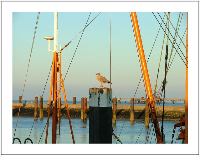 Sommerabend am Meer