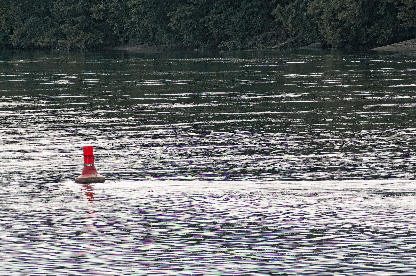 Sommerabend am Oberrhein