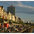 Sommerabend am Rhein