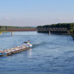 Sommerabend am Rhein