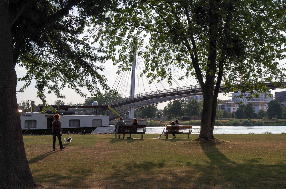 Sommerabend am Rhein