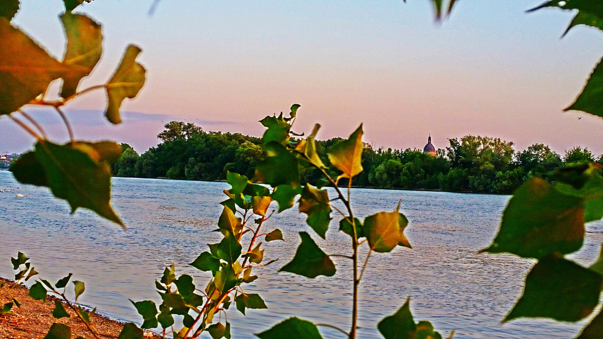 Sommerabend am Rhein