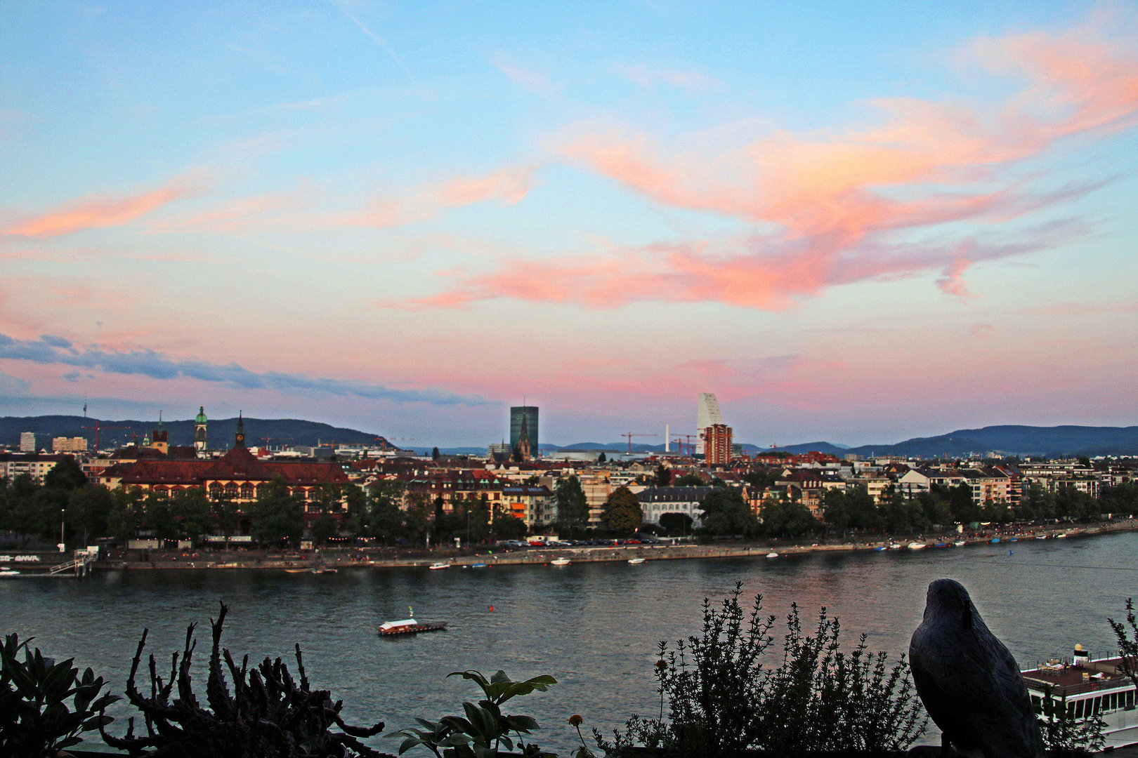 Sommerabend am Rhein