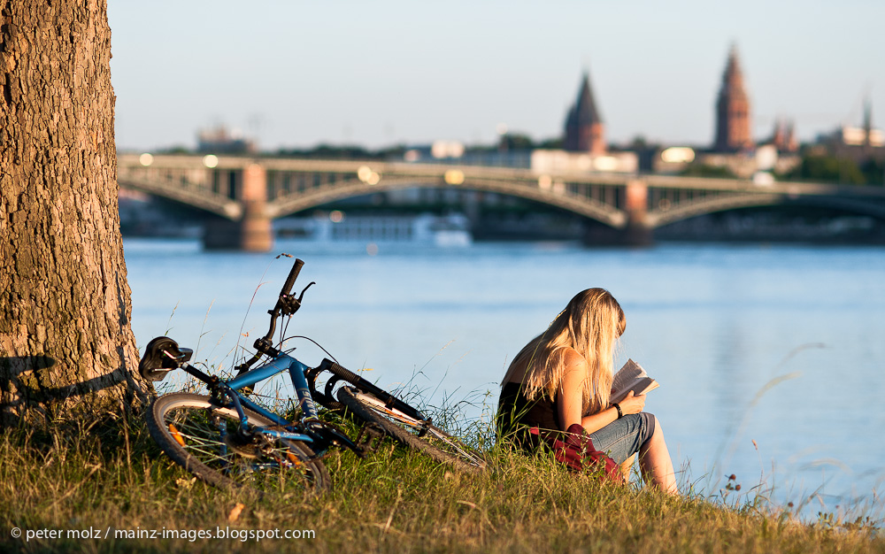 Sommerabend am Rheinufer