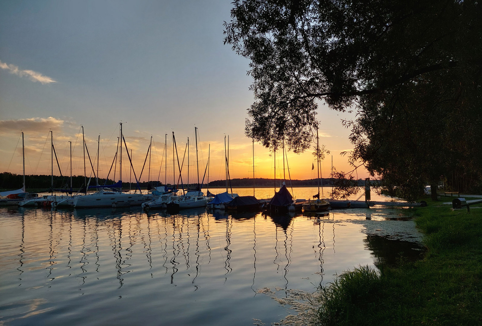 Sommerabend am Rothsee