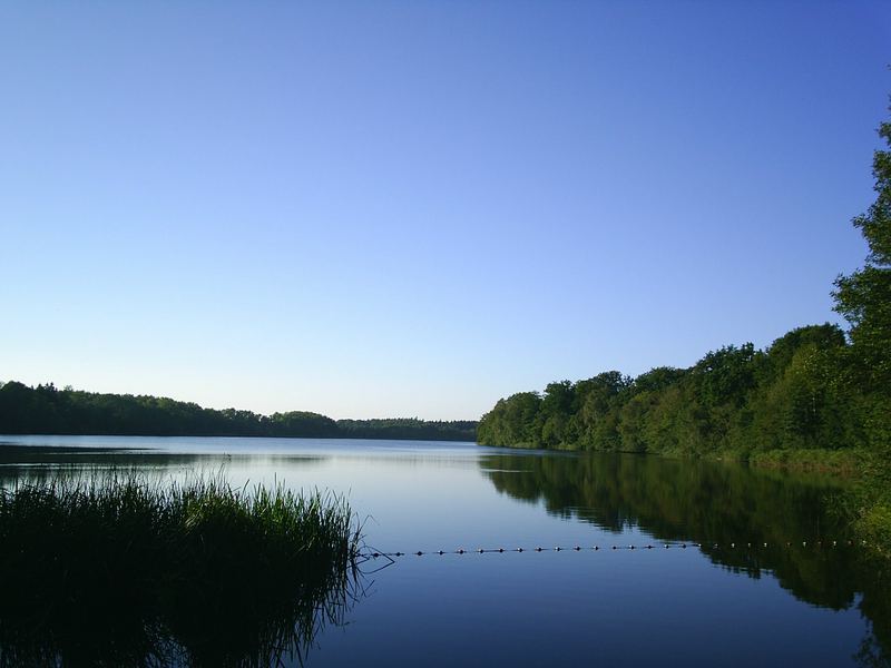 Sommerabend am Schierensee