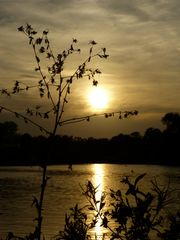 Sommerabend am See