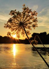 Sommerabend am See