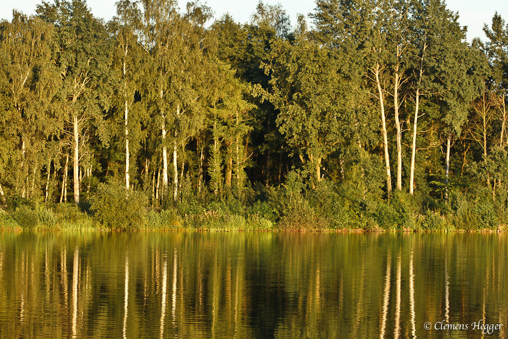 Sommerabend am See