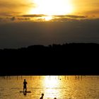 Sommerabend am Starnberger See