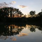 Sommerabend am Teich 