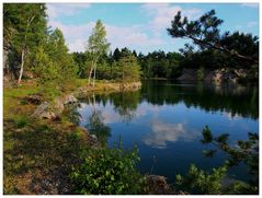 Sommerabend am Waldsee