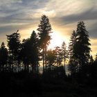 Sommerabend am Waldstein