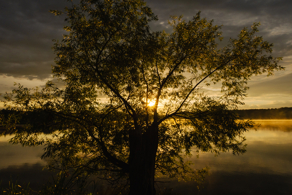 Sommerabend am Weiher