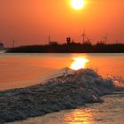 Sommerabend an der Elbe