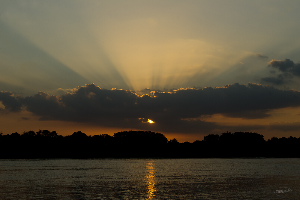 Sommerabend an der Elbe