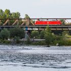 Sommerabend an der Isar (3 von 3)