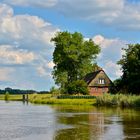 Sommerabend an der Oste