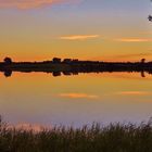 Sommerabend an der Schlei 