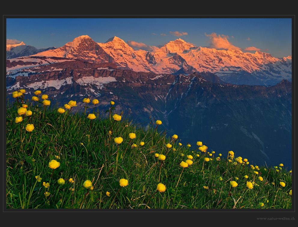 Sommerabend auf dem Augstmatthorn