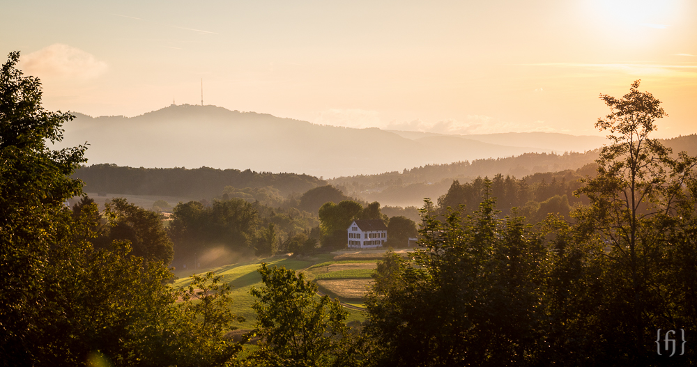 Sommerabend auf dem Land