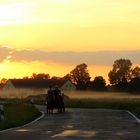 Sommerabend auf dem Land