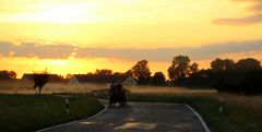 Sommerabend auf dem Land