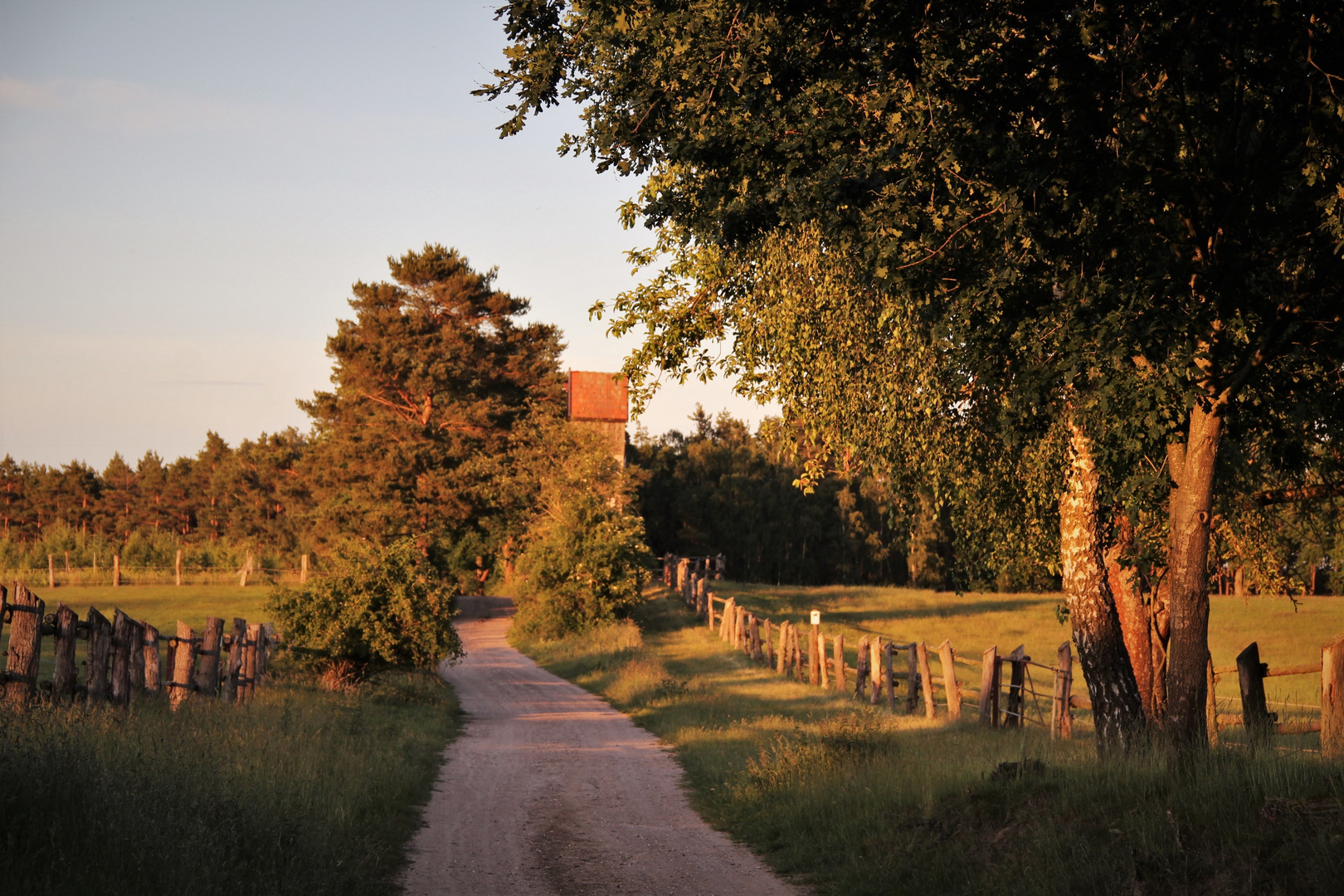 Sommerabend auf dem Land